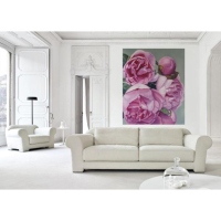 pink peonies in living room - 1