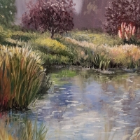 Pond Dreams