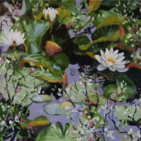 Lily Pads II