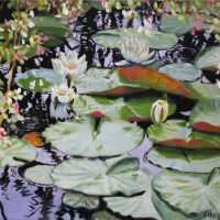 Lily Pads III