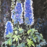 Delphinium Delight