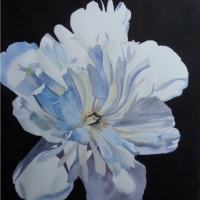 White Peony I