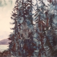 Mystic Forest III - Sunshine Coast