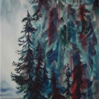 Mysterious Island I - Sunshine Coast