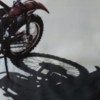 Rusty Old Indian 1972