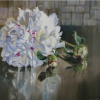 White Peonies XI