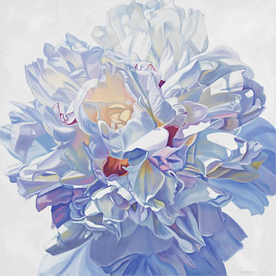 Peonies